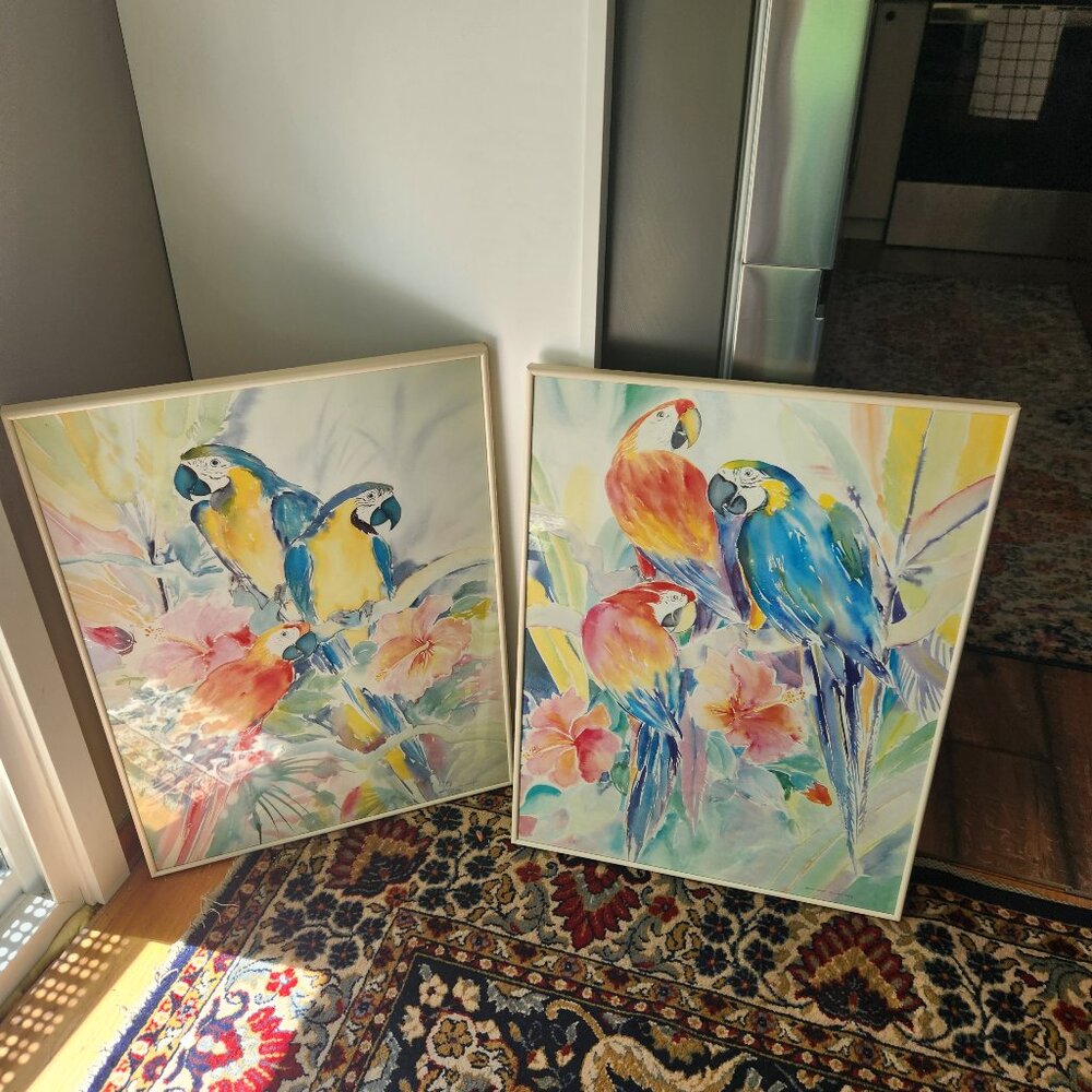 Two Parrot Watercolor Paintings by Sandy Slater